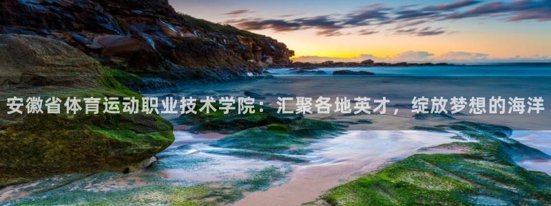 3377体育app官方下载
