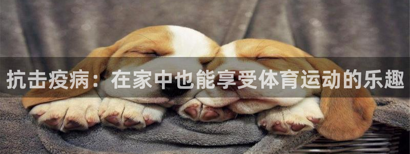 3377体育在线登录官网入口