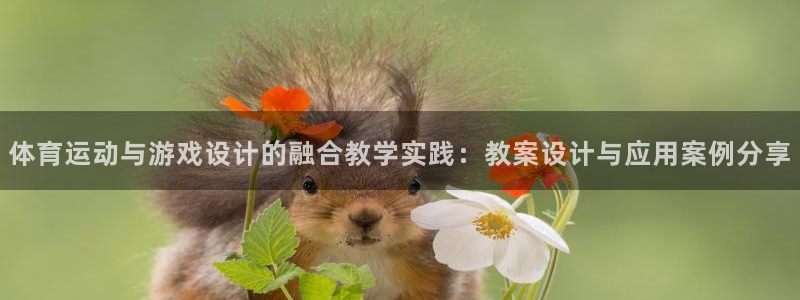 3377体育(中国)官方网站