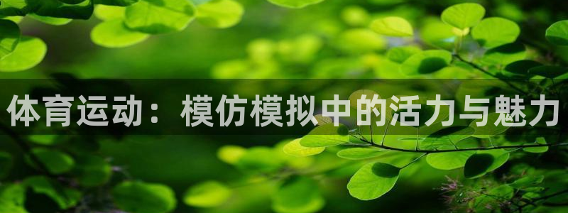 3377体育全网