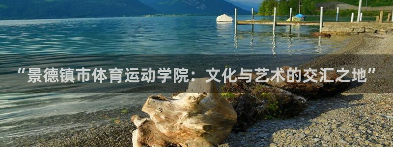 3377体育手机平台