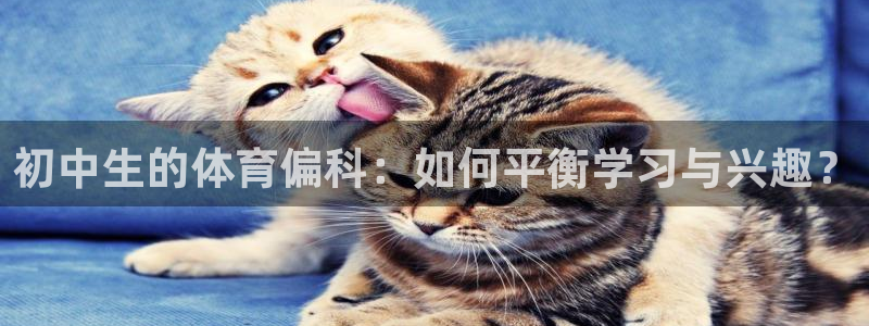 3377体育app下载安装