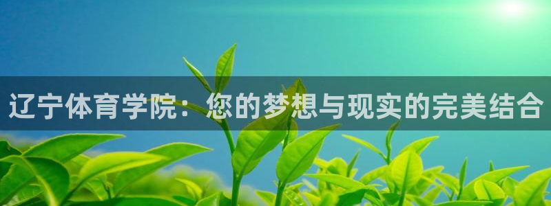 3377体育官网下载