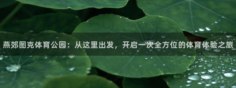 3377体育app登录入口