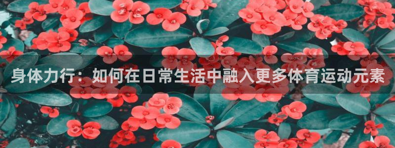 3377体育app官网下载地址